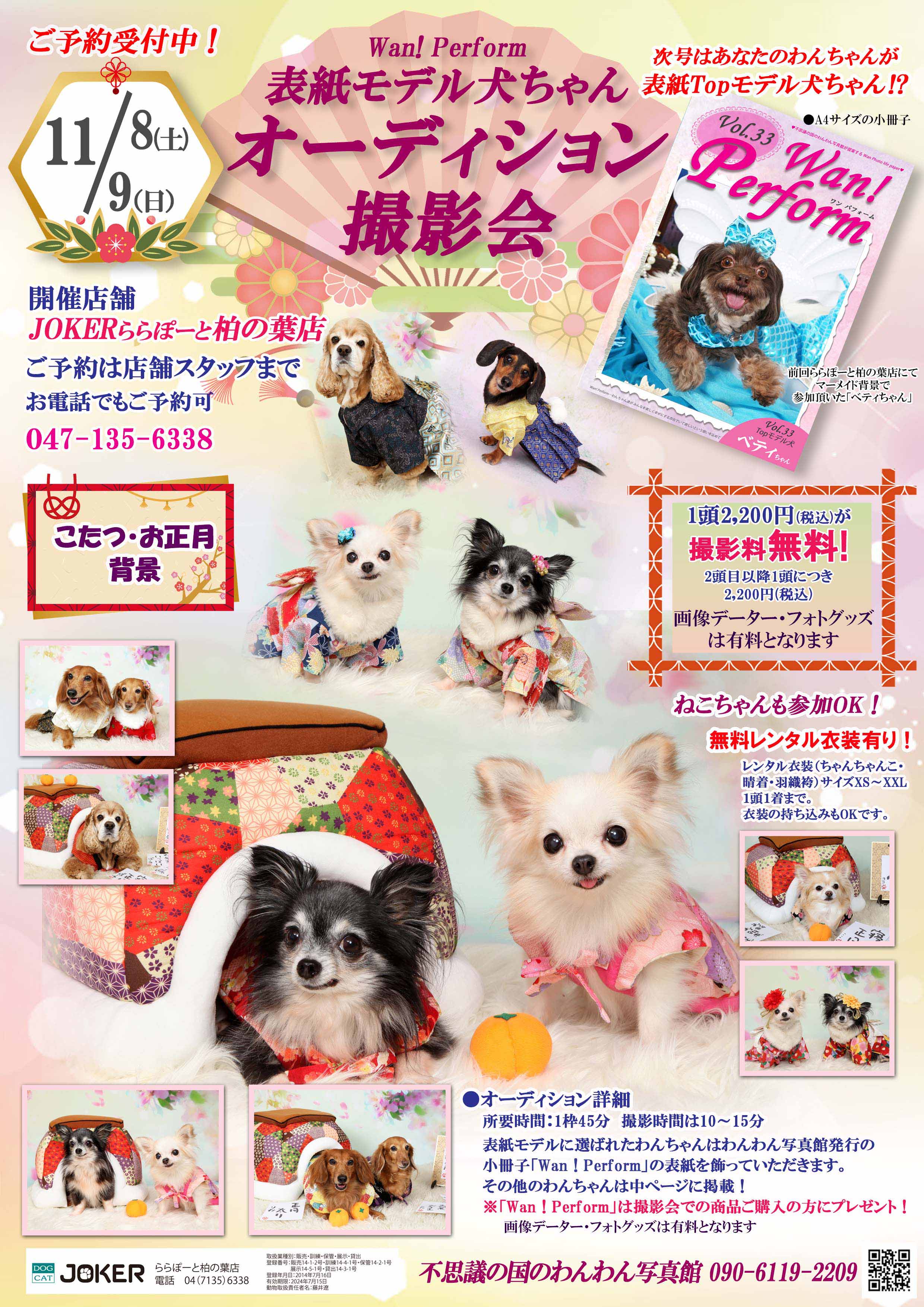 チラシ ジョーカー柏の葉店25年11月 こたつ・正月 オーディション