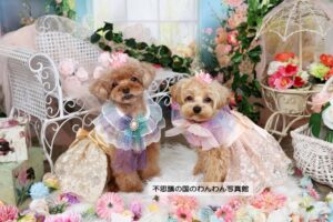 5.フローラルタイム
