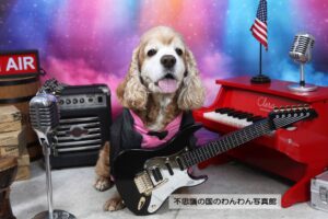 7.ライブステージ