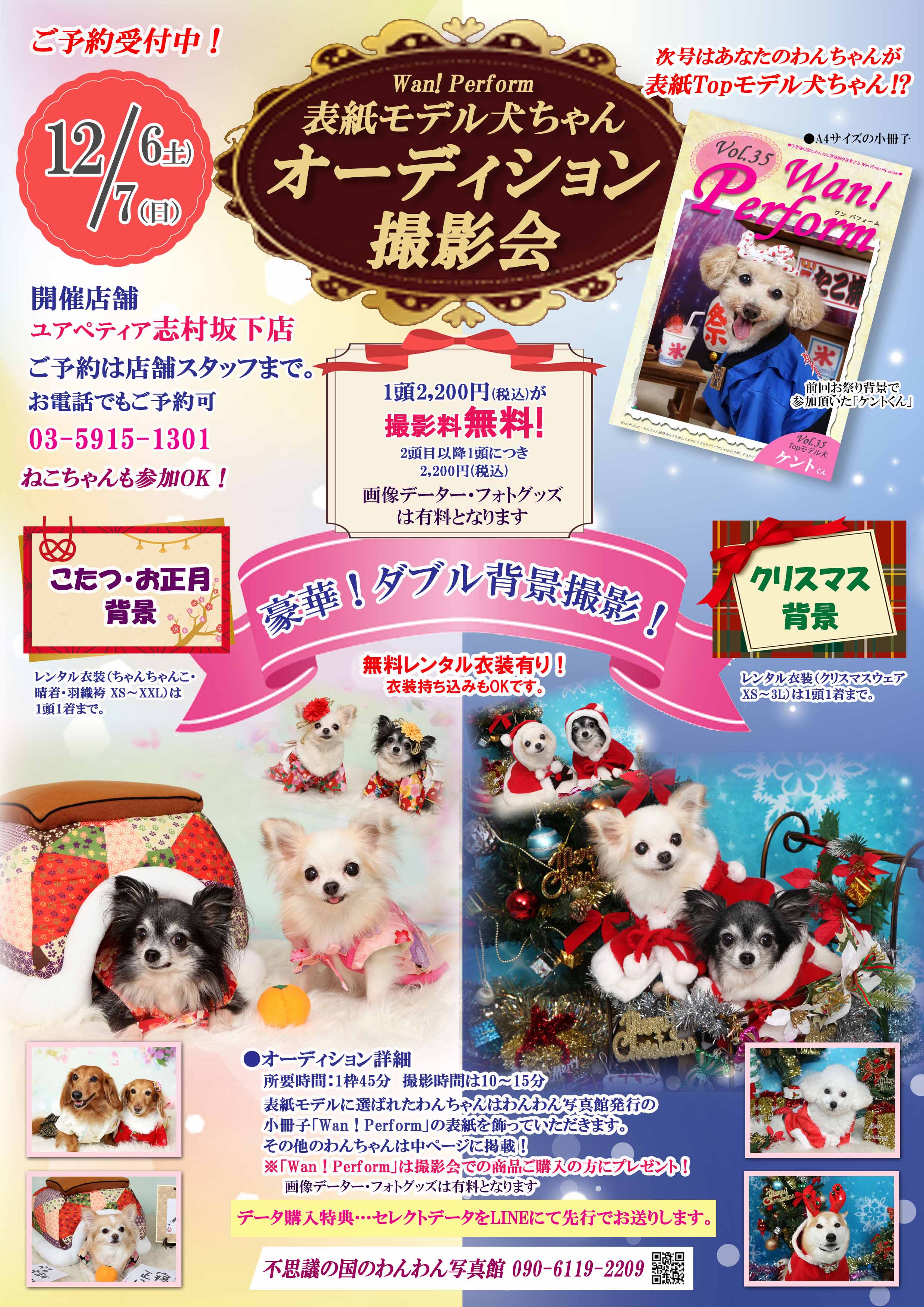 ユアペティア志村坂下店 12月チラシ クリスマス・こたつ・お正月