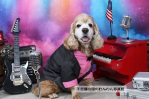 8.ライブステージ