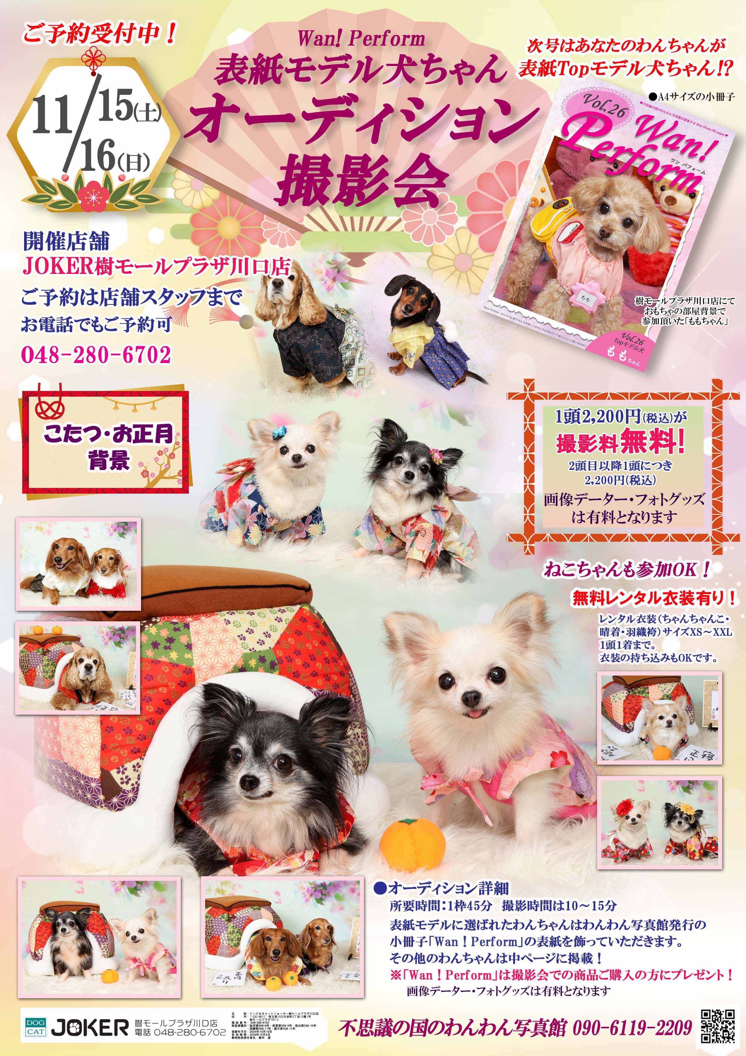 チラシ 樹モール川口店25年11月 こたつ・正月 オーディション