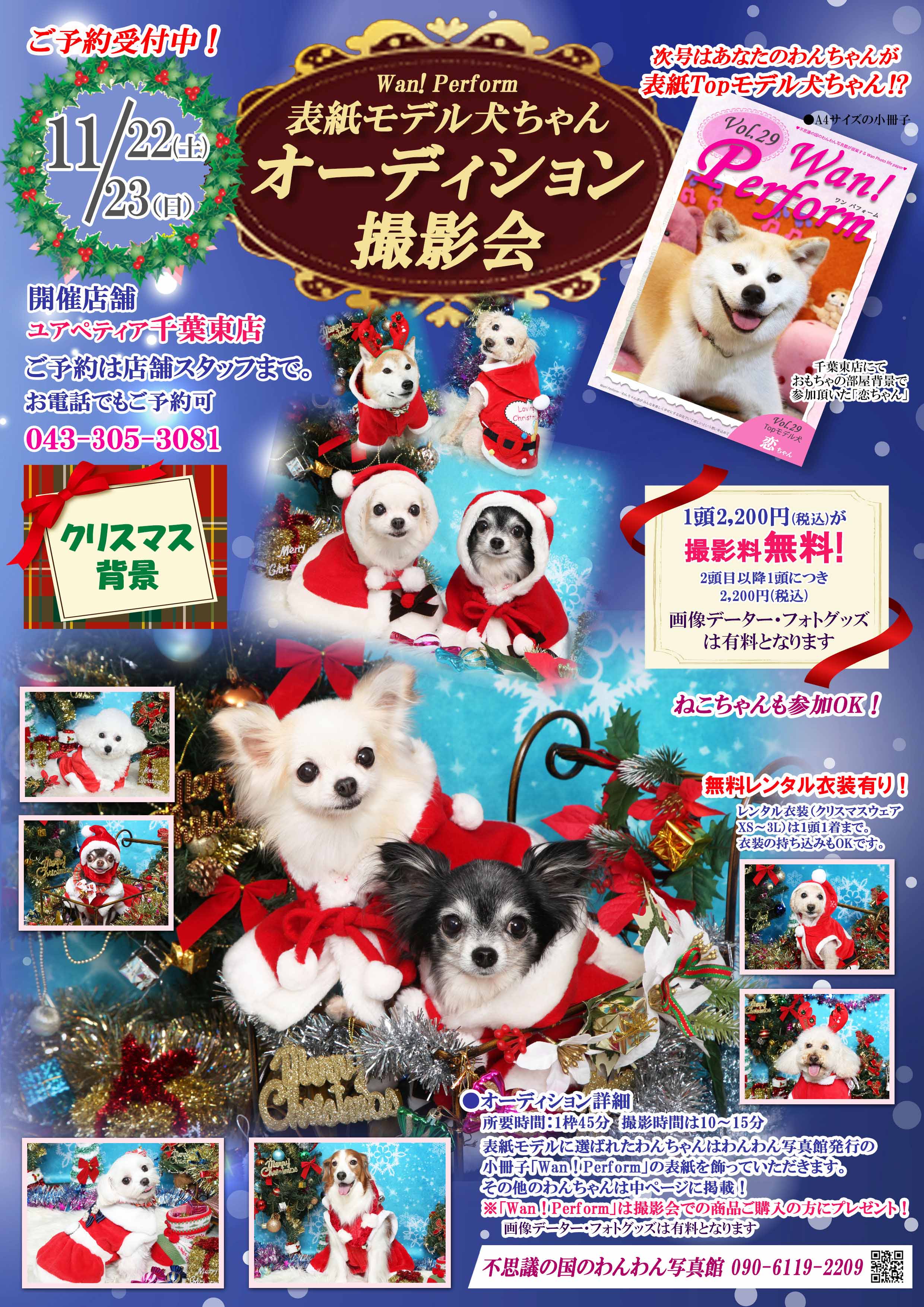 ユアペティア千葉東店 11月チラシ クリスマス